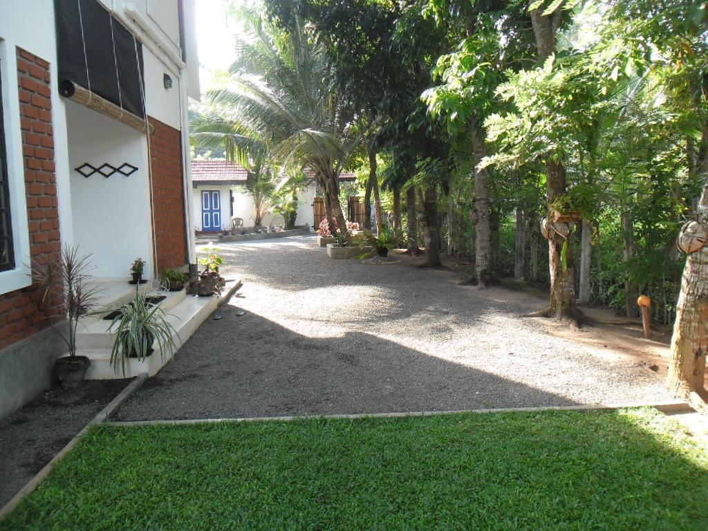 Madampe House 3 Bedroom Villa With Pool For#7 앰발랑고다 객실 사진