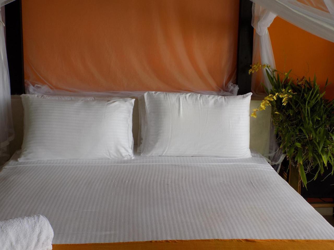 Madampe House 3 Bedroom Villa With Pool For#7 앰발랑고다 외부 사진