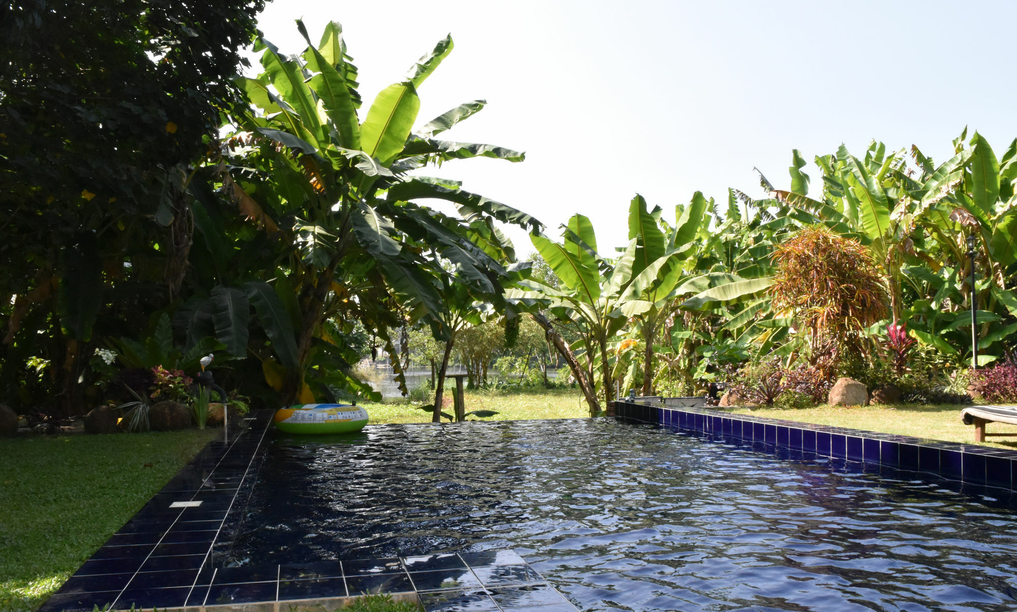 Madampe House 3 Bedroom Villa With Pool For#7 앰발랑고다 외부 사진